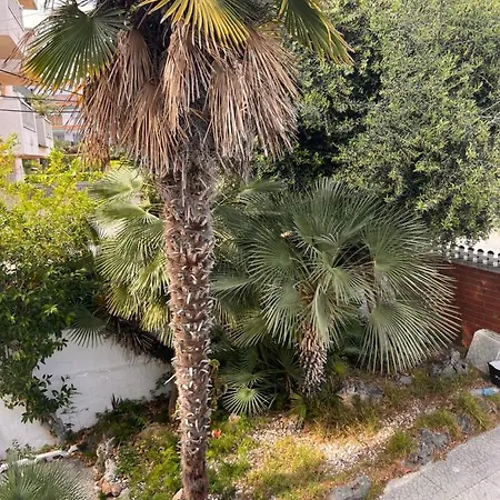 Playa Tatil Evi Cunit